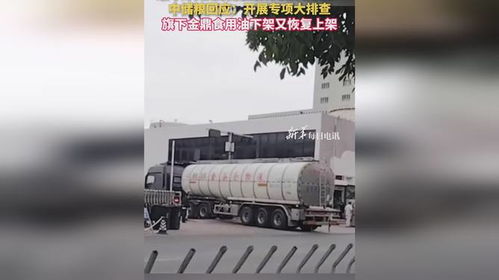食用油安全風波再起 中儲糧金鼎疑遭污染，官方緊急行動凸顯行業隱憂
